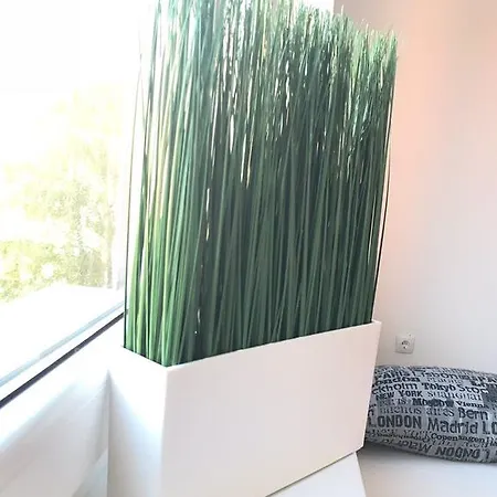 Stan Na Dan Apartment
